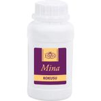 Esved 100 ml Mina Kokusu Çubuklu Koku Bambu Kokusu Yedek Dolum Şişesi