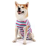 Etdane Ameliyat Sonrası Köpek Cerrahi İyileşme Kıyafeti Kadın Erkek Köpek Evcil Hayvan Yeleği Kedi Gömlek Alternatif Koni E-Yaka Mavi/Pembe Çizgili/XS