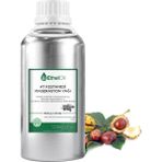 Etheloil At Kestanesi Maserasyon Yağı (Horse Chestnut Oil) - 500 gr - Saf ve Doğal Maserasyon Yağ