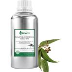 Etheloil Ökaliptus (Citriodora) Uçucu Yağı (Eucalyptus Citriodora Essential Oil) - 500 gr - Saf ve Doğal Uçucu Yağ