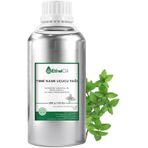 EthelOil Tıbbi 500 gr Nane Uçucu Yağ