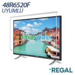 Etiasglass Regal 48R6520F Ekran Koruyucu