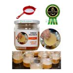 Etik Fatma Özel Üretim Organik Kombucha Özel Başlangıç Kiti - Kombu Mantarı - Kombucha Mantarı Çayı + Süzgeç