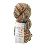 Etrofil Vintage Organic Hand Paint Örgü İpi Kış Masalı %100 Yün 100g 123m (SE717)