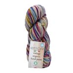 Etrofil Vintage Organic Hand Painted Örgü İpi Festival Renkleri %100 Yün 100g 123m (SE708)