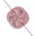 Ett 12 Volt 3 Watt Pembe Yanıp Sönen 6565-2835 Modül LED