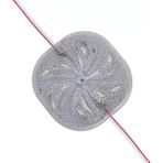 Ett 12 Volt 3 Watt Rgb Yanıp Sönen 6565-2835 Modül LED