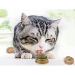 Ett Kedi Nanesi (Catnip) Oyun Topu - Doğal Stres Giderici Ve Diş Sağlığı Oyuncağı