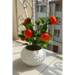 etxShop Saksıda Yapay Çiçek Mandalina Model Dekorasyon Masa Üstü Dekorasyon