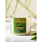 Eucalyptus Spearmint Büyük Mum 411 G, Ferah ve Doğal Koku, Şık Tasarım - Seçenek 1