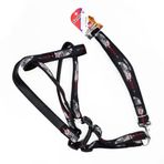 Euro Dog Siyah 26 mm 120 cm Köpek Uzatma Tasması + Göğüs Tasması Takımı