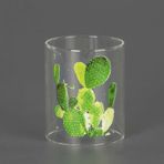 Euro Flora Kaktüs Desenli 8.5x13 cm Cam Mumluk