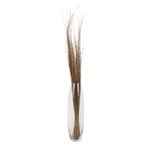 Euro Flora Kuru Bitki Dalları Brıght Grass 90cm