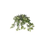Euro Flora Yapay Sarmaşık Sygonıum Demet 42cm