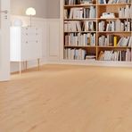 Euro Home 1285x192x8 mm Alp Meşe Laminat Parke