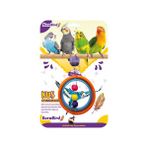 EuroBird Renkli İçiçe Halka Kuş Oyuncağı
