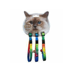 Eurocat 10 mm 28 cm 3 Adet Kedi Boyun Tasması Gökkuşağı