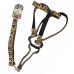 Eurodog Leopar 25 mm 120 cm Köpek Uzatma + Göğüs Tasması