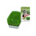 EuroGold Cat Grass Kedi Çimi - Petshopundan