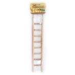 Eurogold Merdiven 8 Basamaklı 38 cm Ahşap Kuş Oyuncağı