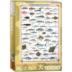 Eurographics Akdeniz Balıkları 1000 Parça Puzzle