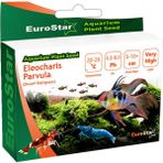 Eurostar Bitki Tohumu Eleocharis Parvula 10 - Renkli