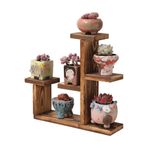 Ev dekka Ahşap Sukulent ve Çiçek Standı - 5 Bölmeli Dekoratif Masaüstü Saksı Rafı - 25x25 cm