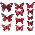 Ev Dekorasyon 3D PVC Kelebek 12 li Duvar Süsleme Model M