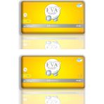 EVA Premium 60 Adet XL Külot