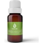Evanthe Biberiye Aromaterapi Esansiyel Uçucu Yağı - 20 ml