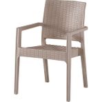 Evart Plastik Rattan Sandalye 4 Adet - Bej