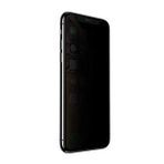 Evastore Apple iPhone 13 Mini Anti-Dust Privacy Temperli Ekran Koruyucu