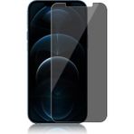 Evax Hayalet Cam Ekran Koruyucu Esd Anti-Statik - iPhone 12 Pro Max