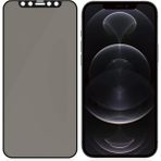 Evax Hayalet Cam Ekran Koruyucu Esd Anti-Statik - iPhone 12 Pro