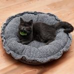 Evcil Hayvan Hediyesi Peluş Kedi Yatağı