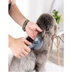 Evcil Hayvan Kedi Köpek Otomatik Temizlenen Tuşlu Tüy Toplayıcı Kaşıma Kedi Tarağı Kıl Fırçası