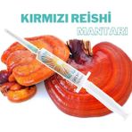 Evde Mantar Kırmızı Reishi Mantarı Ana Kültür -Mantar Tohumu - 10 kg