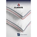 evdehome 1 Adet Klimalı Yastık | Fermuarlı | Yıkanabilir | Hava Geçirgen | 50 X 70 cm