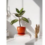 Evdek Tabaklı Turuncu U Çömlek Saksı 16x16 Cm