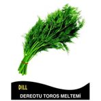 EVDEKİ BAHÇEM – Sebze Tohumu – Dereotu TOHUMU