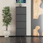 Evdemo 4 Kapaklı Metal Ayakkabılık Antrasit