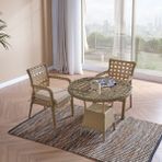 EVDEMO Ayaz 2 Kişilik Rattan Bahçe Balkon Mutfak Masa Takımı Cappuccino