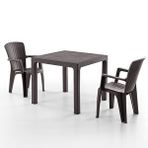 Evdemo Side 2 Kişilik Rattan Masa Sandalye Takımı Kahve
