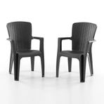 Evdemo Side 2'li Rattan Sandalye Siyah