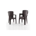 Evdemo Side 4'lü Rattan Sandalye Kahve