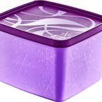 EveFix Alaska Derin Dondurucu Saklama Kabı 2,1 Lt