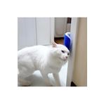 EveFix Cat It Pratik Kedi Tüyü Kaşıma Ve Tarama Aparatı Duvara Monte
