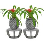 Evene Ahşap Ayaklı Beton Saksı Büyük Boy Set 2 Adet Ananas Model - Gümüş