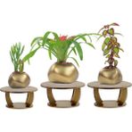 Evene Ahşap Ayaklı Beton Saksı Büyük Boy Set 3 Adet Spiral Oval Model - Gold