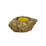 Evene Altın Mumluk Şamdan Tealight Mum Uyumlu Deniz Kabuğu Model 8682874833452